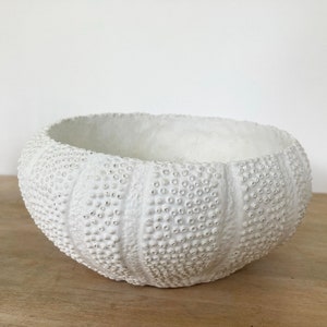 May include: White ceramic bowl shaped like a sea urchin. The bowl has a textured surface with small bumps and is ideal for holding small items or plants.