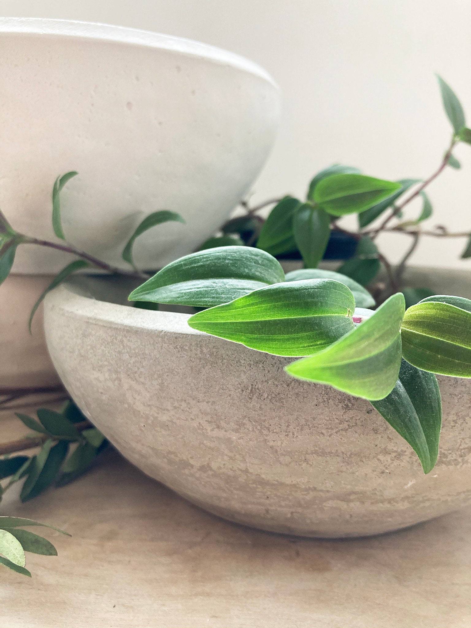 Large Concrete Bowl Planter Concrete Bowl Cream White or Etsy