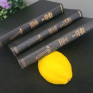 Può includere: Quattro libri con copertina rigida nera intitolati "Audels Carpenters and Builders Guide" con scritte dorate e un'immagine di martello. Un limone giallo brillante poggia sui libri. I libri sono numerati 2, 3 e 4.