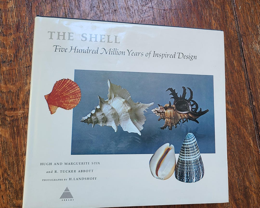 The Shell 500 Million Years of Inspired Design, Large 1968