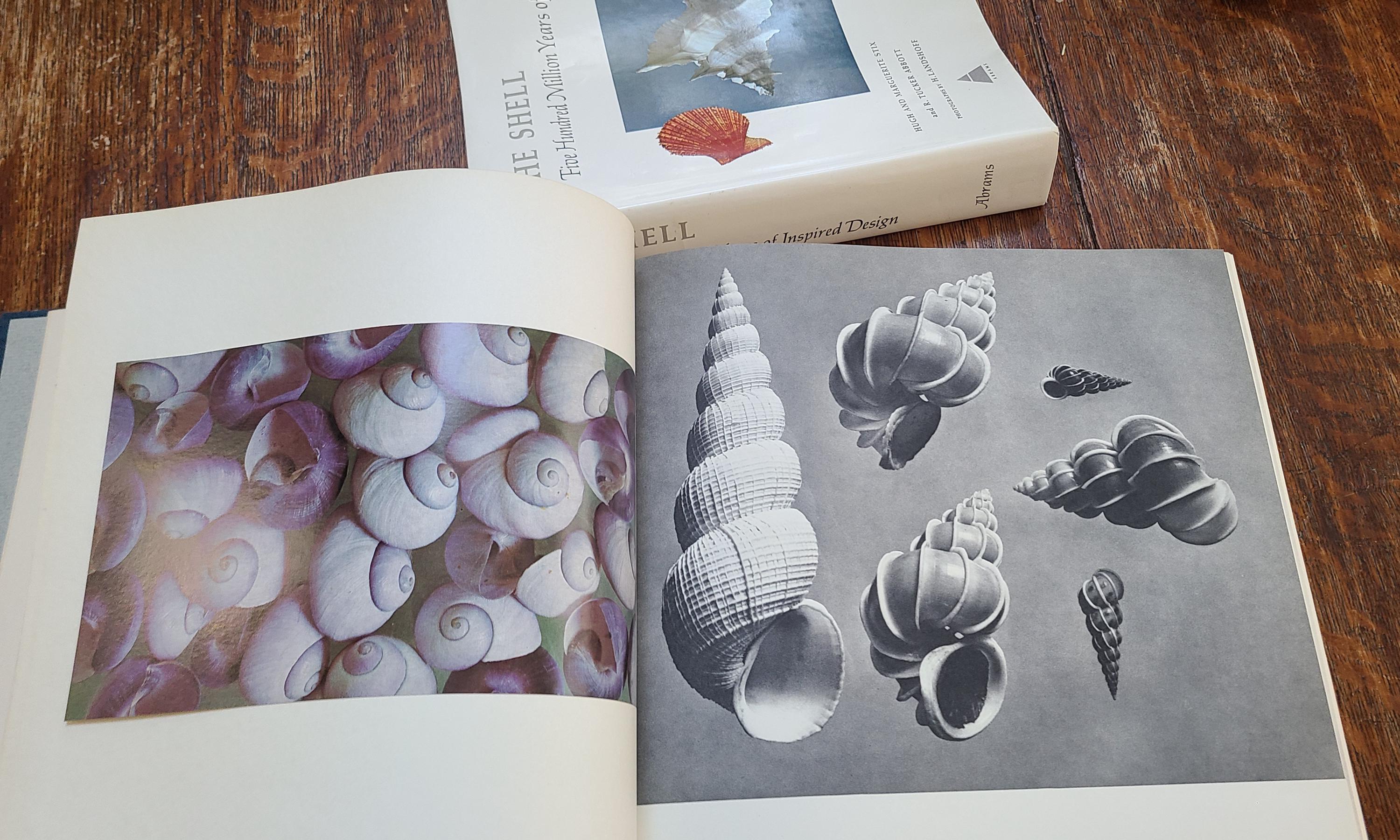Shell Collecting —An Illustrated History Shell Collecting: An Illustrated History - Kristalle, est. 1971