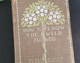 Antique 1895 How to Know Wildflowers Guide to Names, Haunts
