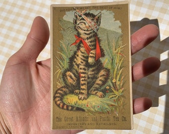 Antique Business Card / The Great Atlantic and Pacific Tea Co / AB Sealey 1881 / Cat Illustration / Typography / Graphic Design / Print