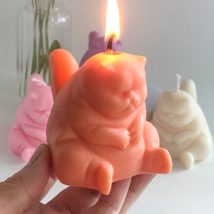 The Original Grumpy Cat| FatCat Candle| Grumpy Cat Candle| Unique Candle| Cute Candle| Unique Gift| Cool Candle| Cat lover gift