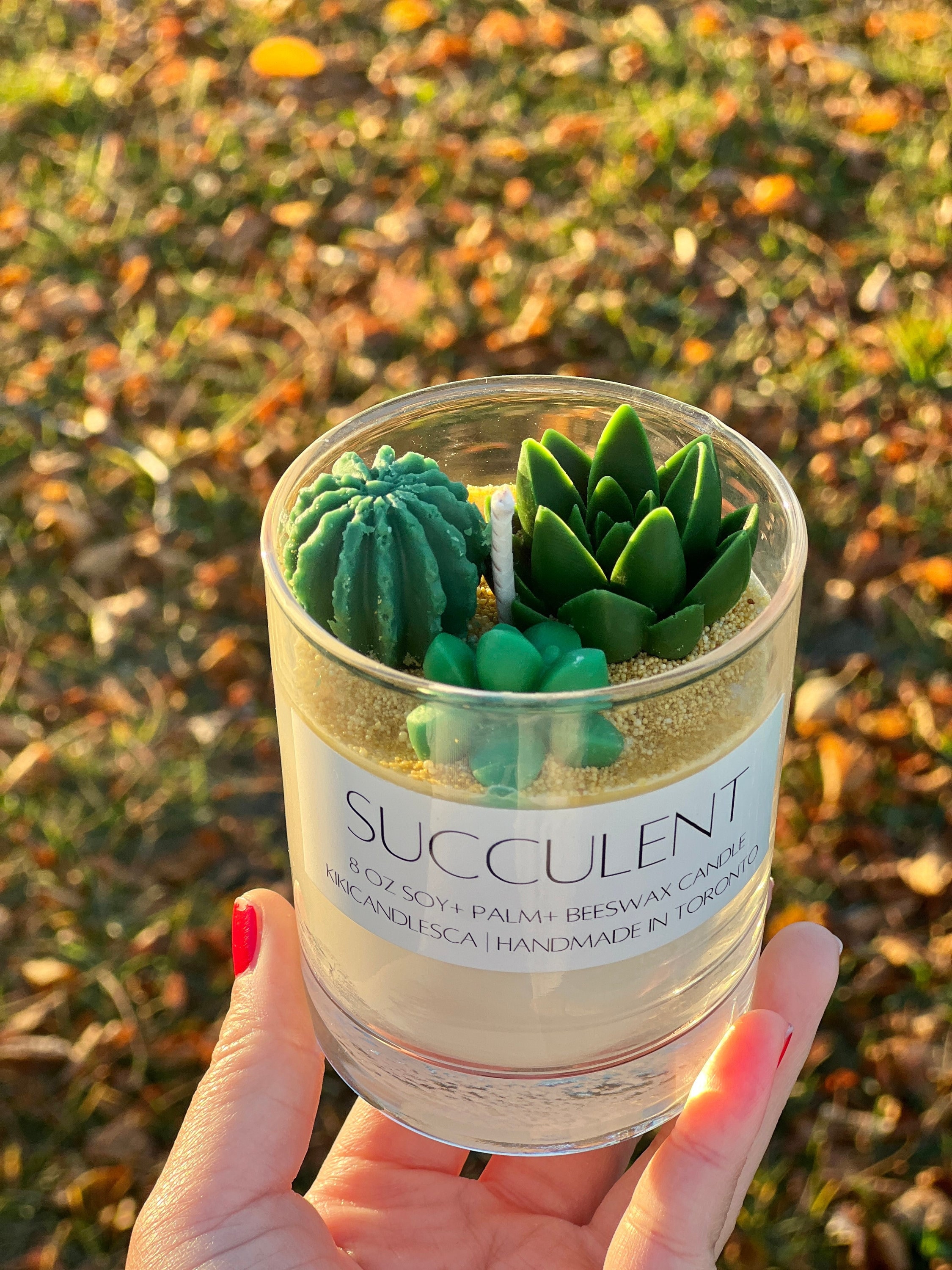 5 bonnes raisons d'acheter un cactus ou une succulente – La Green Touch