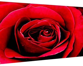 Red Rose Painting Etsy
