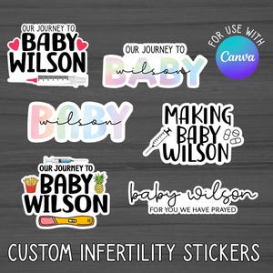 Pegatina personalizada con nombre para FIV / Pegatinas para la infertilidad / Regalos de fertilidad / FIV lo tiene todo / Diario, calendario y planificador