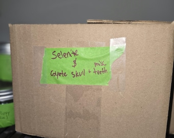 Box of bones