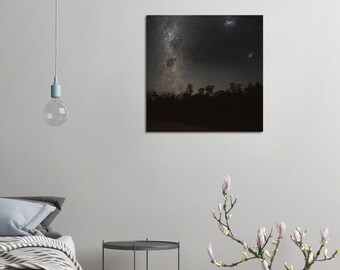 Una vista al sur - Canvas