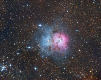 Noche de los Trífidos