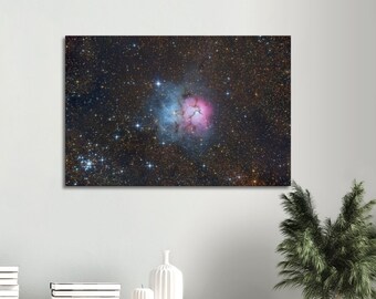 Noche de los Trífidos - Lienzo