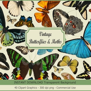 Zestaw clipartów motyli „Vintage Butterflies & Moths” Ilustracje do pobrania w wersji cyfrowej do dekoracji ściennych, decoupage’u, zaproszeń, rękodzieła, kolaży…