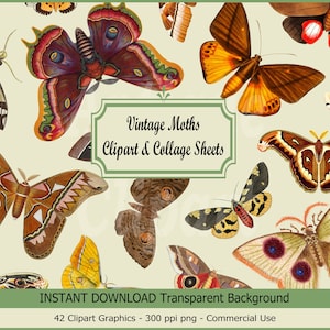 Vintage Motten Clipart & Collage Blätter Motte PNG antike braune Motten Illustrationen PNG Format sofortiger Download für kommerzielle Nutzung