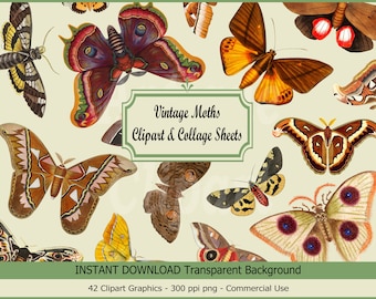 Vintage Moths Clipart & Collage sheets Moth PNG antique brown moths illustrations PNG format instant download for commercial use