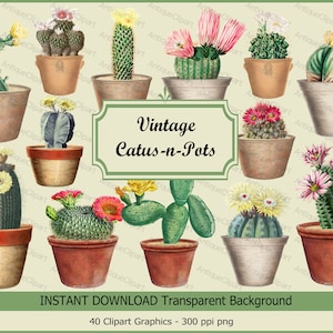 Vintage Cactus-n-pots Clipart & Collage sheets, Transparent background PNG, Foliage art, botany illustration Commercial use Instant Download