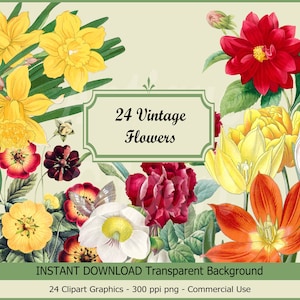 May include: A set of 24 vintage flower clipart graphics with transparent backgrounds. The flowers are in various colors, including red, yellow, white, and orange. The graphics are perfect for digital scrapbooking, card making, and other creative projects.