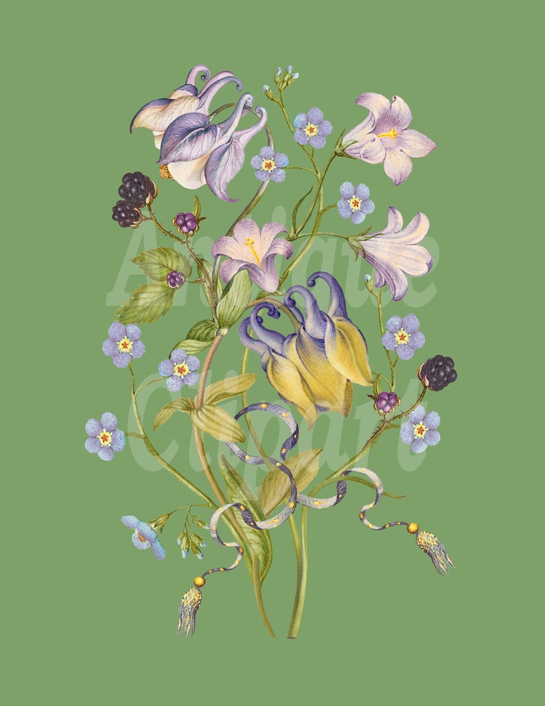 Flowers Clipart columbine Flower Bouquet Illustration PNG JPG