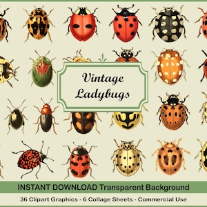 Fogli di collage e clipart di coccinelle, fogli stampabili, arte di insetti vintage, stampe di coccinelle, fogli di collage stampabili digitali, set di arte del decoupage