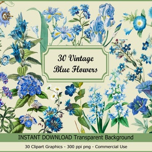 ビンテージ ブルーの花 クリップアート 花 PNG 商用利用 デイジーの花セット イラスト かわいい花 クリップアート デイジーの花 PNG グラフィック セット