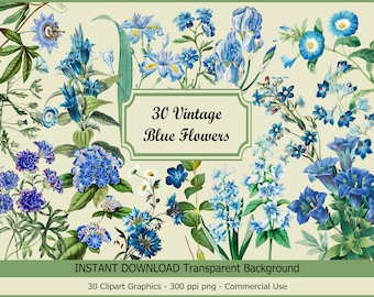 May include: 30 vintage blue flower illustrations with transparent backgrounds.  The flowers are depicted in a watercolor style and include a variety of species, such as irises, forget-me-nots, and bellflowers.