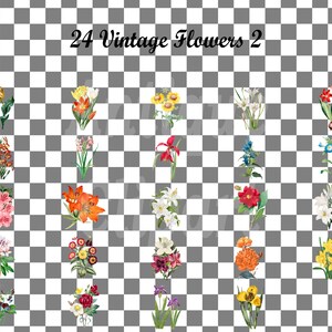 May include: 24 Vintage Flowers 2 - A collection of 24 vintage flower illustrations, featuring a variety of flowers in different colors and styles. The flowers are arranged in a grid pattern on a checkered background.