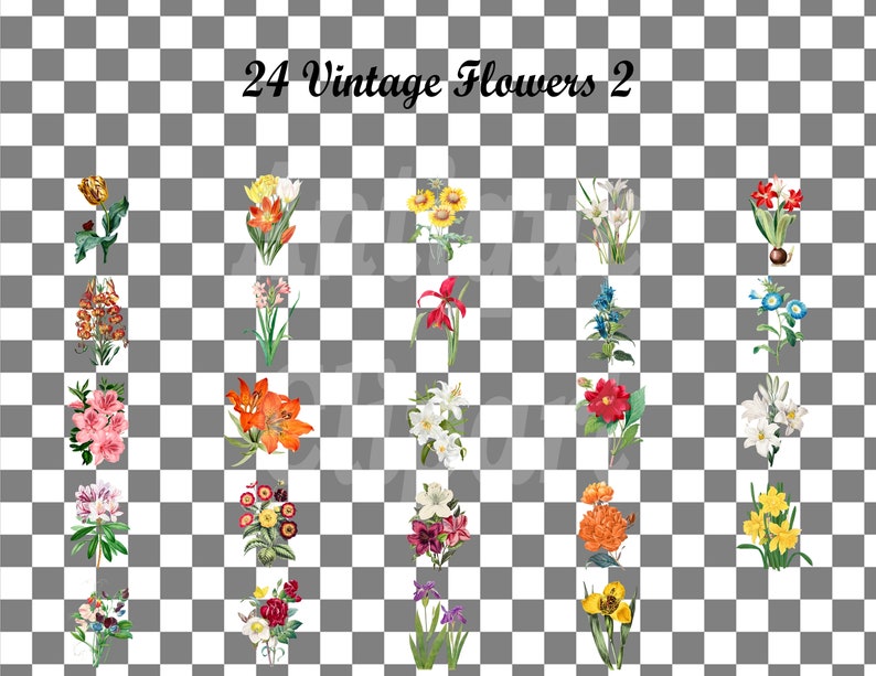 May include: 24 Vintage Flowers 2 - A collection of 24 vintage flower illustrations, featuring a variety of flowers in different colors and styles. The flowers are arranged in a grid pattern on a checkered background.