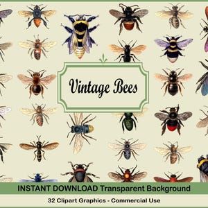 Imágenes prediseñadas y hojas de collage de abejas vintage, hojas de abejas imprimibles, arte de insectos, impresiones de insectos, hojas de collage imprimibles digitales, juego de arte de decoupage
