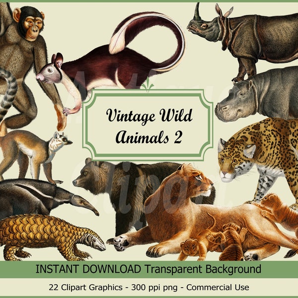 Download Clipart "Vintage Wild Animal Set 2" Images for Mix Media, Prints, Scrapbooking, Wall Art, Collages, Paper Crafts, Graphic Design…