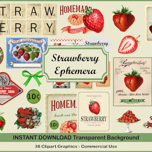 Imágenes prediseñadas digitales de fresa vintage PNG, imágenes prediseñadas de frutas vintage y efímeras, 2 hojas de collage incluidas, archivos JPG de diario basura y álbumes de recortes