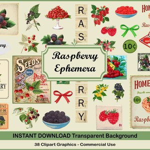 Op de afbeelding: Een verzameling vintage-stijl graphics met frambozenthema. Bevat illustraties van frambozen, frambozentaart en zaadzakjes. De tekst "Raspberry Ephemera" wordt weergegeven, samen met "Homemade" en "Raspberry Pie".