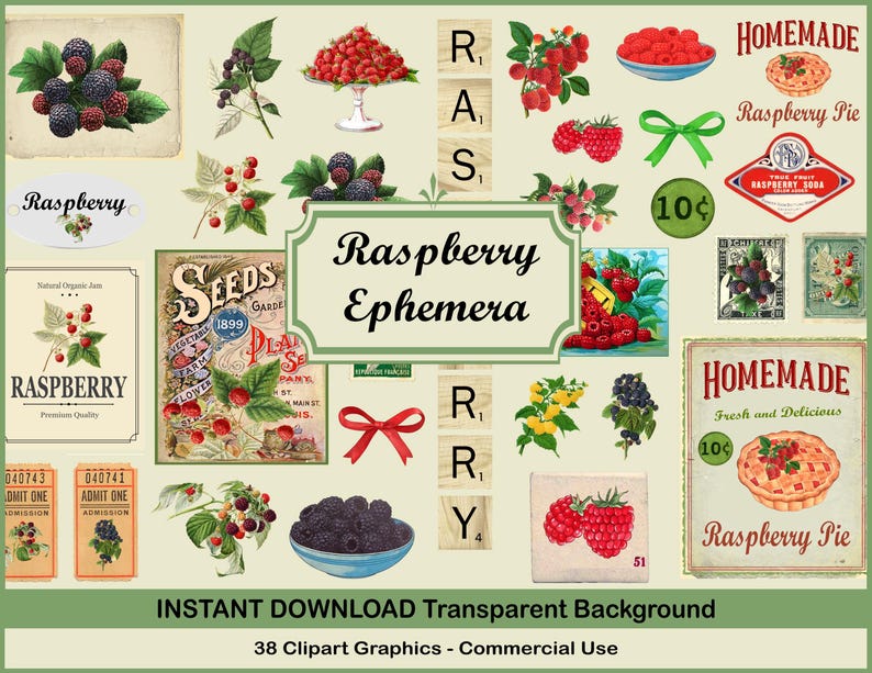 Vintage Raspberry Themed Decor Vintage Raspberry Clipart: 38 PNG Images + 2 Collage Sheets (digital ...