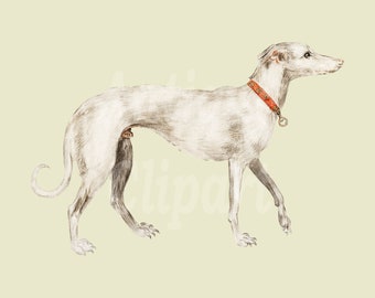 Vintage Dog Clipart "Greyhound" Digital Download Image Image for Wall Art, Prints, Collages, Scrapbook, Graphic Design...