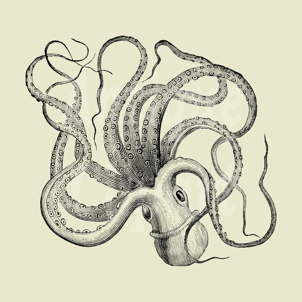 Sea Life Clipart "Octopus" Vintage Line Art Illustration Digital Download for Prints, Crafts, Wall Art, Collages, Scrapbook, Invitations...