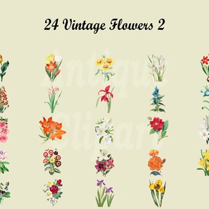 May include: A set of 24 vintage flower illustrations. The flowers are depicted in a variety of colors, including red, yellow, blue, pink, and white. The illustrations are in a watercolor style and have a vintage aesthetic.
