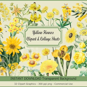 Yellow Spring Flowers Clipart & Collage Sheets PNG Commercial Use Daffodil Flowers Set Illustration Cute Flowers Clipart Spring Flowers