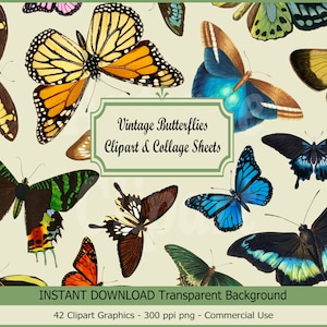 Fogli di clipart e collage di farfalle vintage, clipart di insetti vintage, download immediato per scrapbooking digitale, diario di scarto, artigianato...