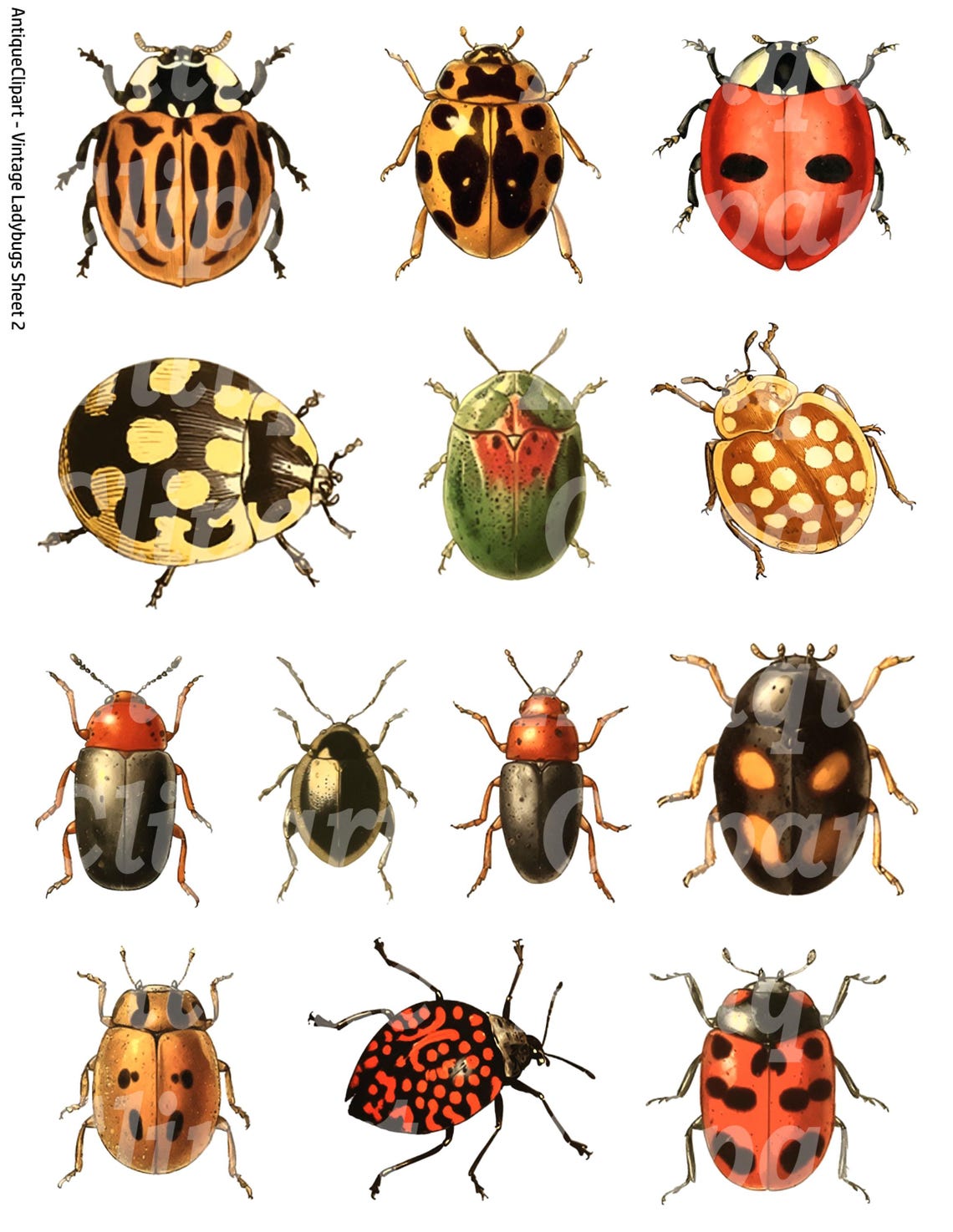 Vintage Ladybug Clipart: Printable Collage Sheets (digital Download) - Etsy