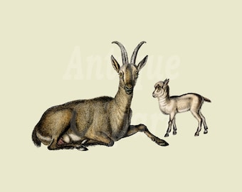 Goat Clipart, Vintage Animal Art "Wild Goat" Digital Download Image for Crafts, Wall Art, Collages, Transfers, Scrapbooking...