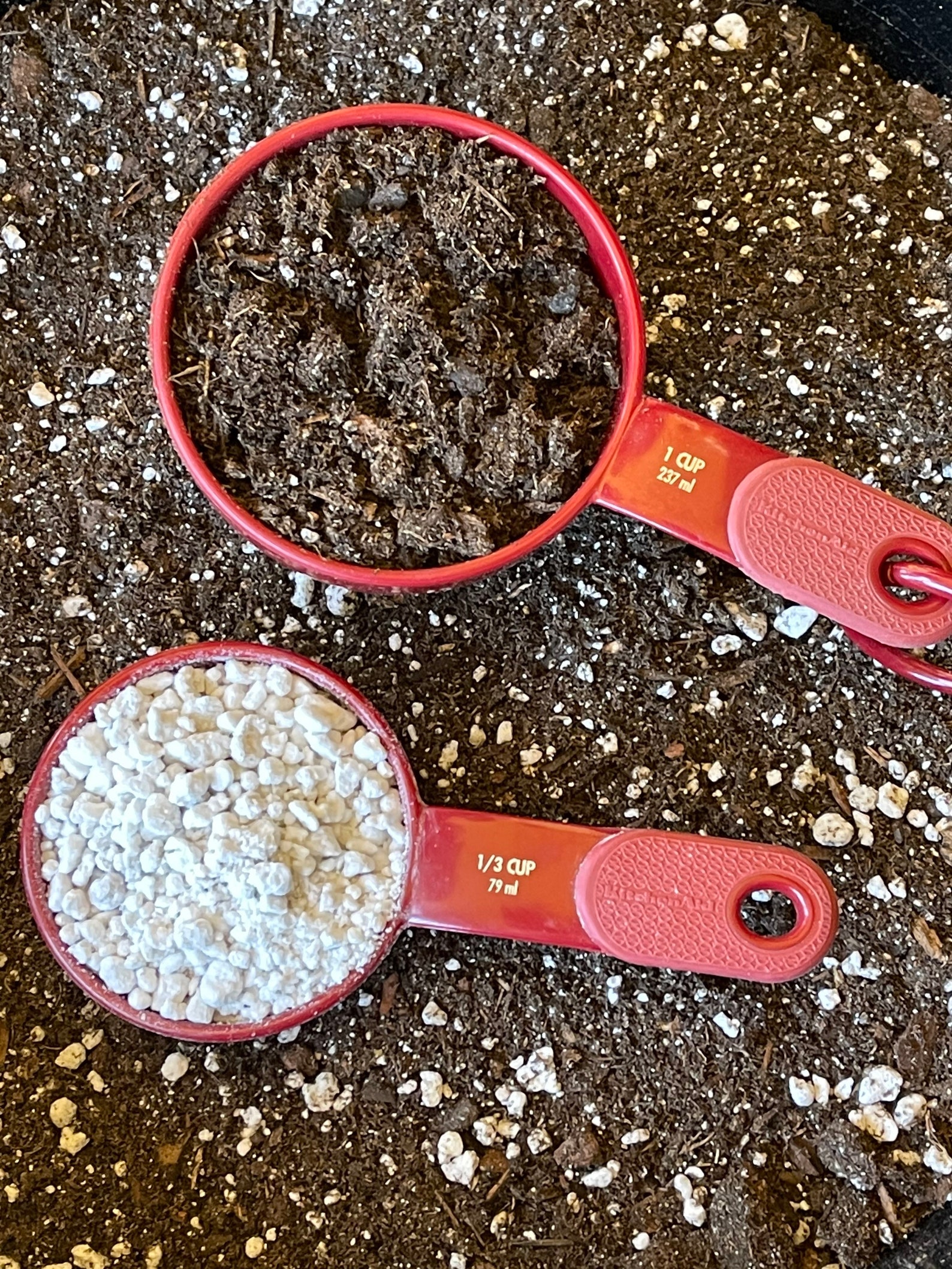 4 Cups of Succulent Soil Etsy