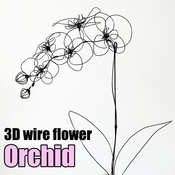 Handgemaakte 3D-draadorchideeplant / Minimalistische en unieke huisdecors / Draadbloemen /