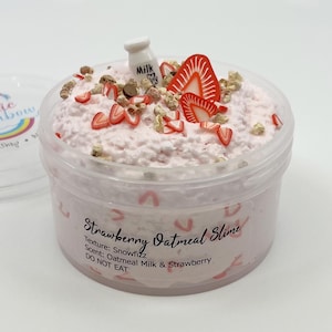 Strawberry Oatmeal Snowfizz Slime, Crunchy slime, Artistic Rainbow Slime Shop