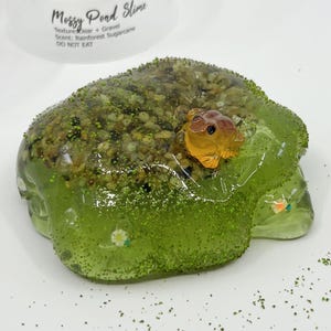 May include: A green slime with a clear, gel-like base, speckled with green glitter and small white flowers. The slime is topped with a layer of gravel and a small, orange frog figurine. The text "Mossy Pond Slime" is visible.
