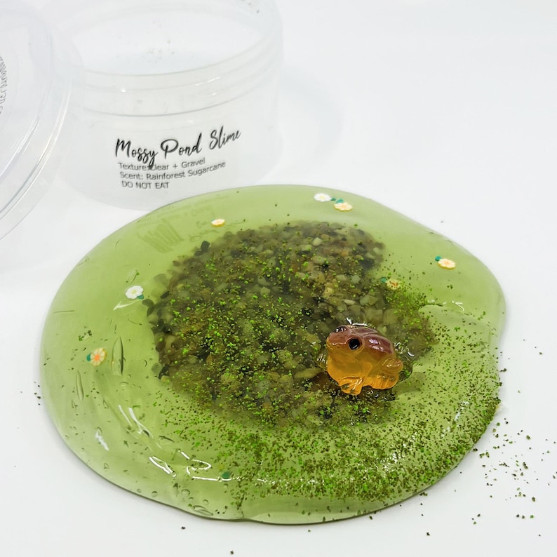 May include: A clear container of "Mossy Pond Slime" with a green, clear slime base. The slime has a gravel texture and a rainforest sugarcane scent. A small, orange frog figurine sits in the center of the slime.