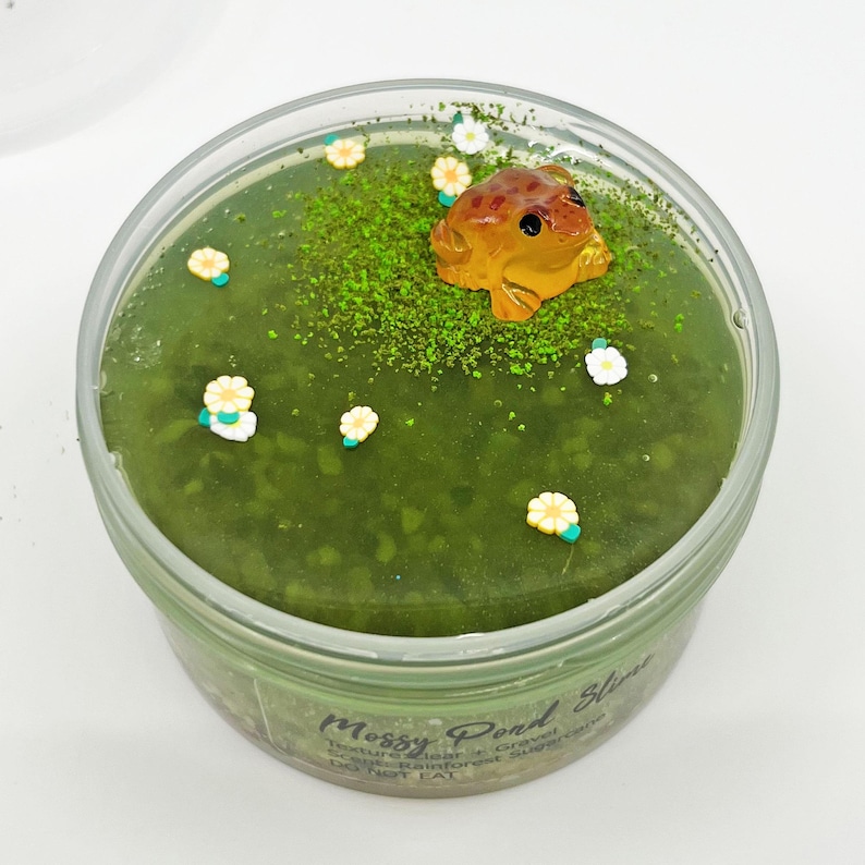 May include: A clear plastic container filled with green slime, decorated with a small brown frog figurine, green glitter, and tiny white and yellow flower-shaped embellishments. The container has the words "Mossy Pond Slime" printed on the side.