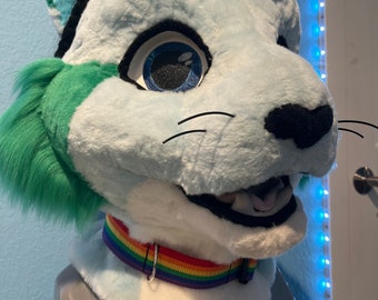 LGBTQ+ Pride Fursuit Collar