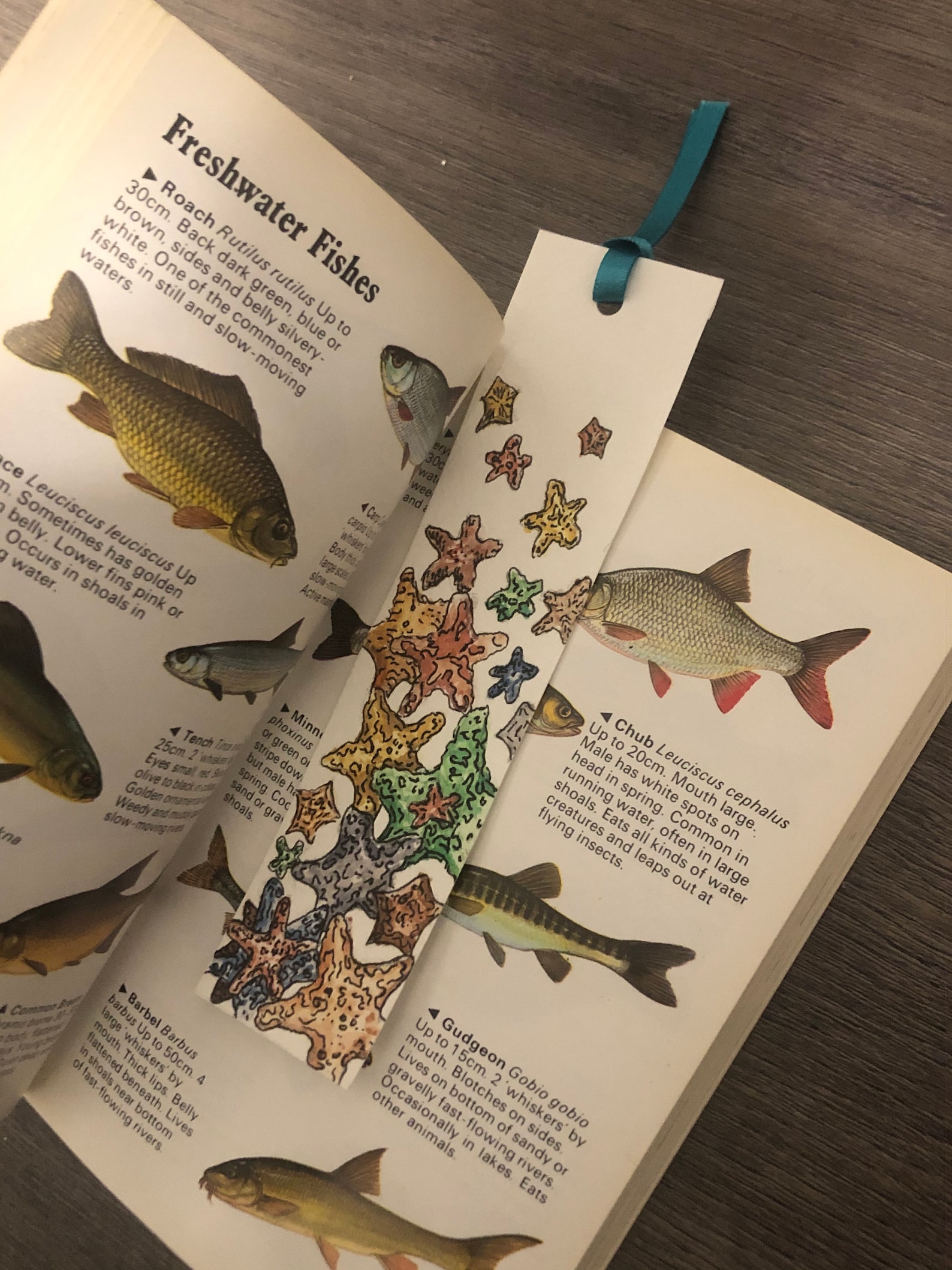 Handmade nature bookmarks// customisable personalised Etsy