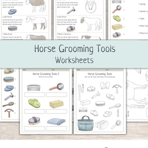 Könnte beinhalten: Eine Sammlung von Arbeitsblättern mit dem Titel "Horse Grooming Tools" mit Illustrationen von Pflegeutensilien und Pferden. Die Arbeitsblätter enthalten Anweisungen und Zuordnungsaktivitäten zum Erlernen der Pferdepflege. Der Text "SEPPIS WELT" ist ebenfalls sichtbar.