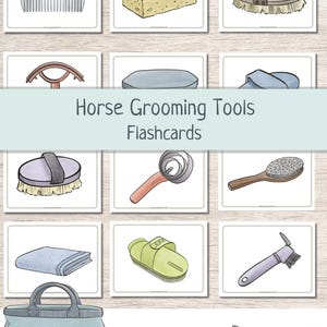 Könnte beinhalten: Karten mit Illustrationen von Pferdepflegeutensilien, darunter ein Kamm, ein Schwamm, Bürsten und ein Hufkratzer. Der Text "Horse Grooming Tools Flashcards" ist in der Mitte zu sehen.