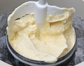 BEST Old-Fashioned Homemade Vanilla Ice Cream RECIPE Instant Digital Download