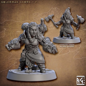 Gnome Fighter / Cleric F ALTERNATE - Artisan Guild - Dungeons and Dragons